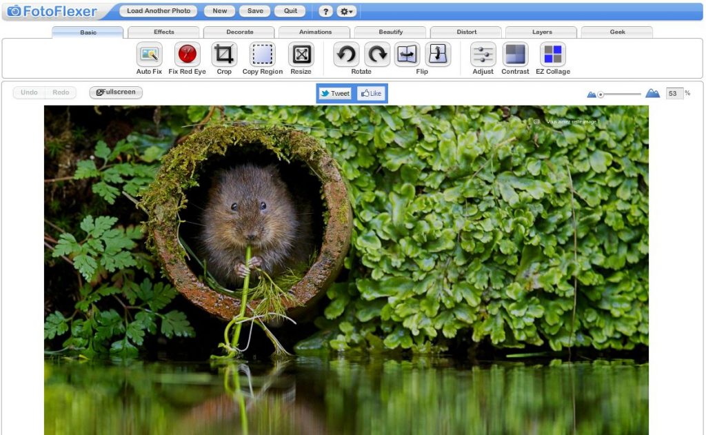 fotoflexer online image editor