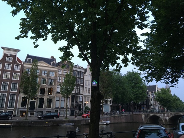 Green Birdhouse Amesterdam