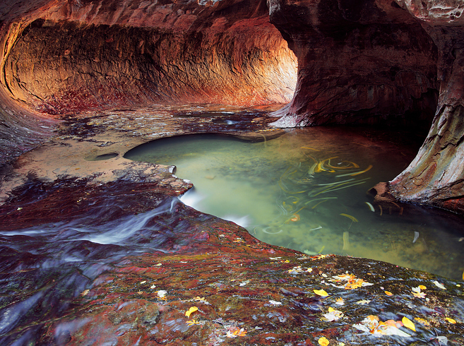zion-national-park-utah