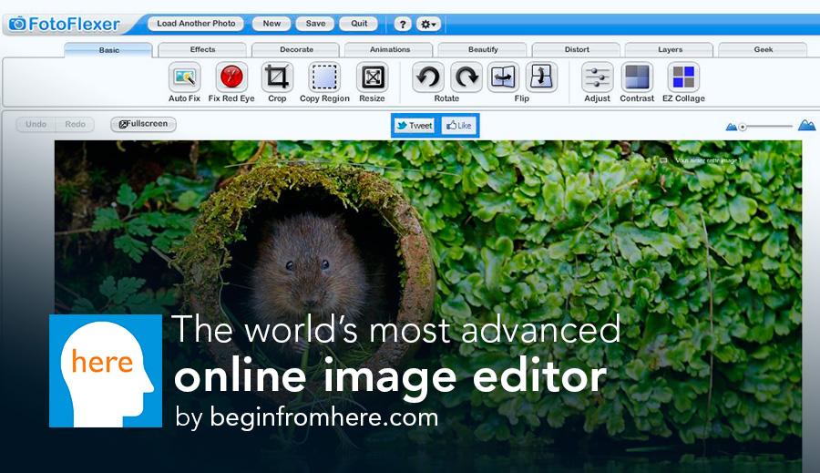 The world’s most advanced online image editor