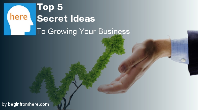 Top 5 Secret Ideas To Growing Your Business